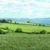 Devon