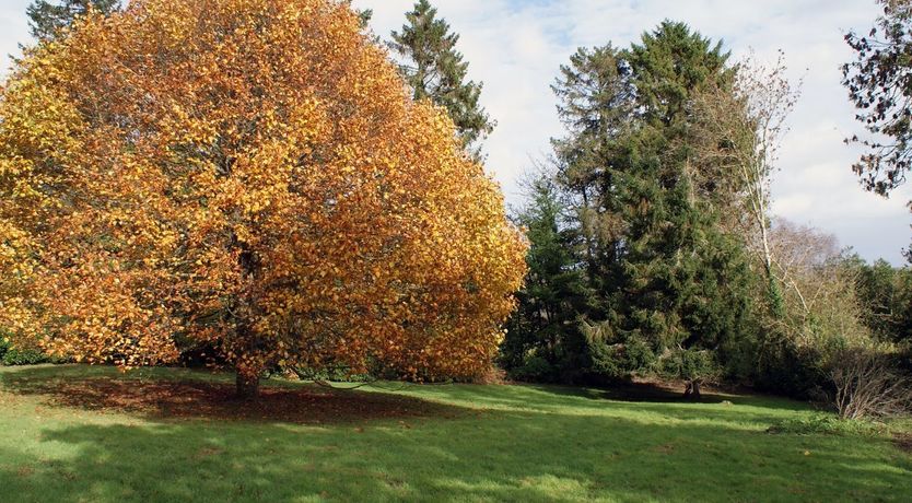 Photo of The Hayloft
