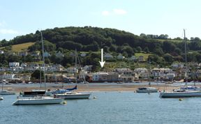 Photo of The Dolphins