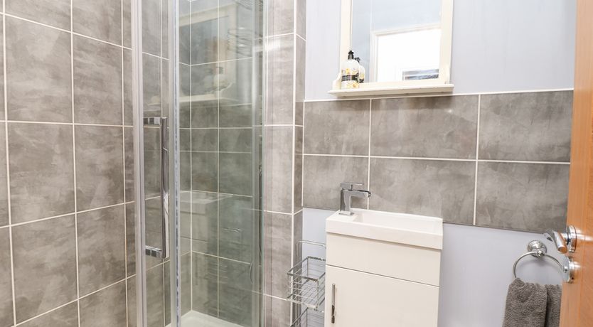 Photo of The Dolphins