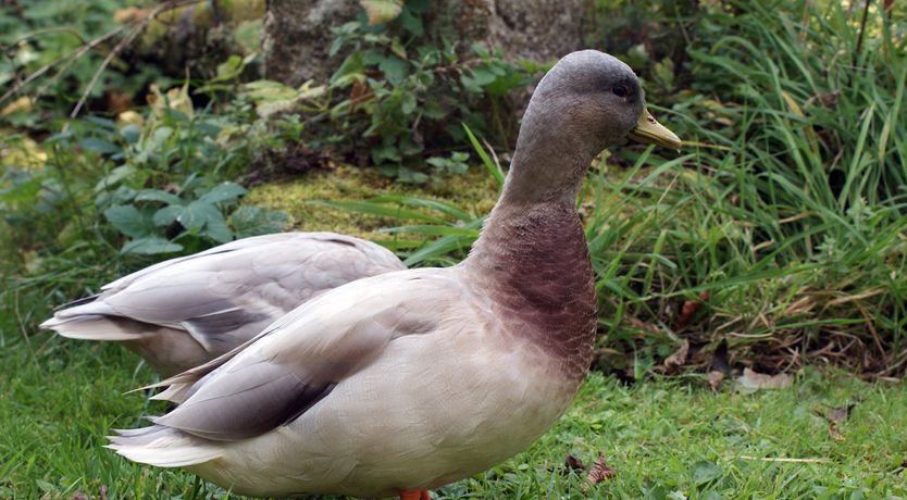Photo of Townend Barn