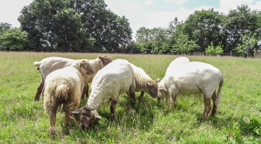 Photo of The Milk Shed