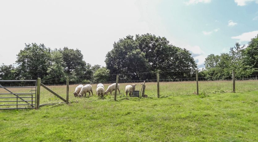 Photo of The Milk Shed