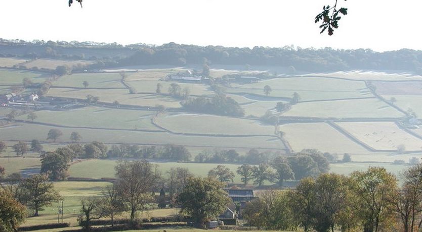 Photo of Swallows Cottage
