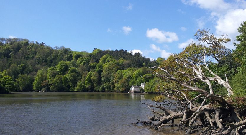 Photo of The Bathing House