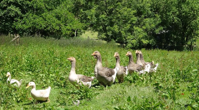 Photo of The Hay Barn