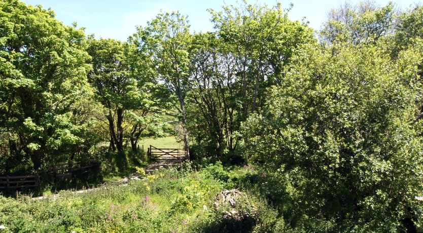Photo of Polcreek Farmhouse