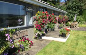 Photo of dolau-meurig