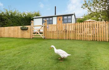 The Brae Holiday Cottage