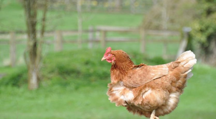 Photo of 1 Bed in Withington