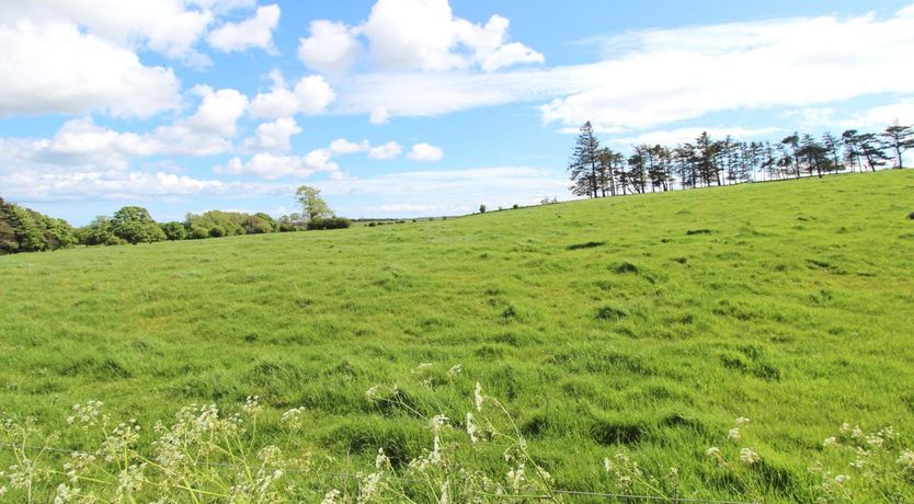 Photo of 1 Bed in Belford