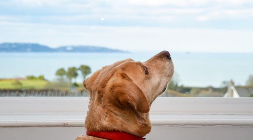 Photo of 4 Bed in Paignton