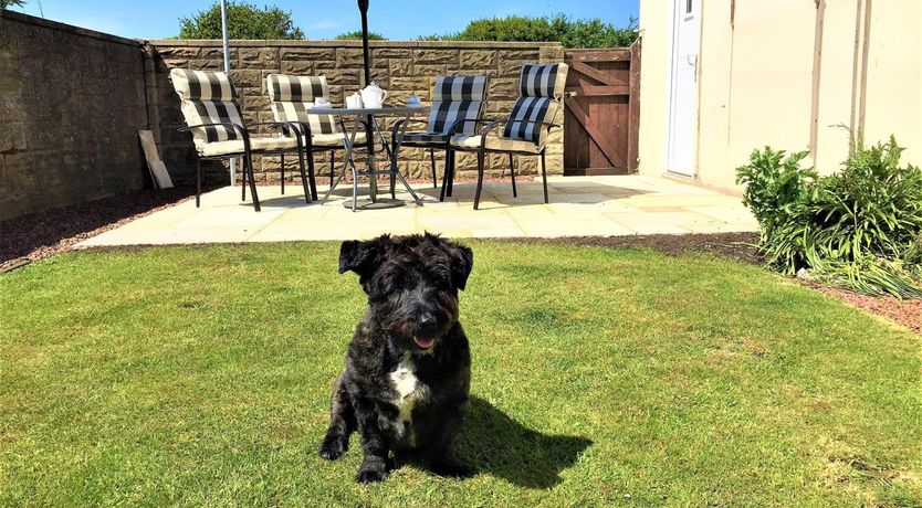 Photo of 3 Bed in Seahouses