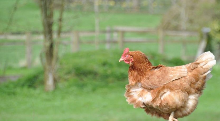 Photo of 1 Bed in Withington