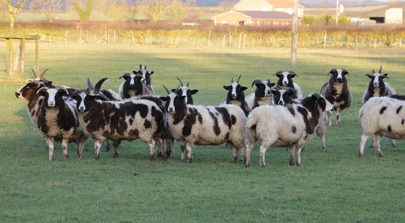 Photo of The Old Hayloft