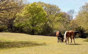 Photo of Barn in Hampshire