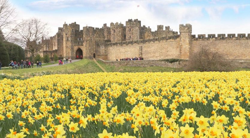 Photo of 1 Bed in Alnwick