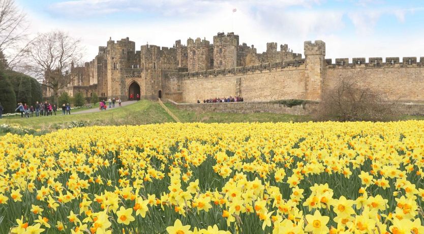 Photo of 1 Bed in Alnwick