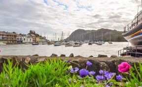 Photo of in Ilfracombe (57795)