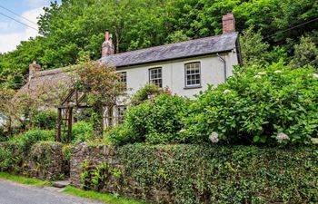 in Bucks Mills (60643) Holiday Cottage