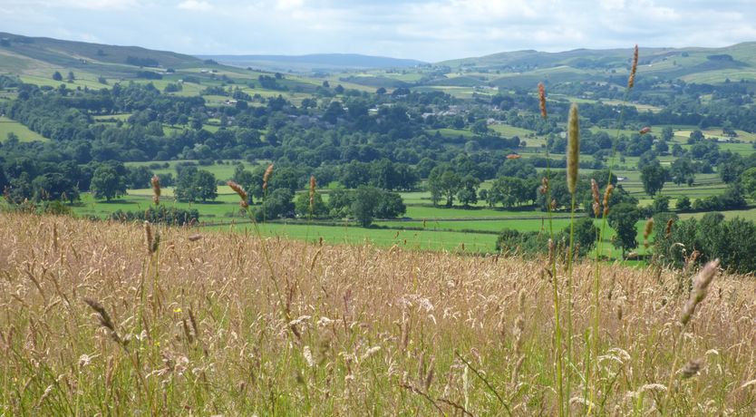 Photo of The Little Flat