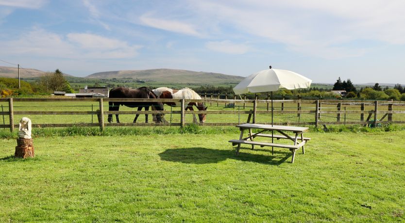 Photo of View The Gallery