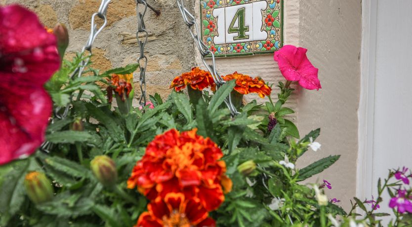 Photo of Daisy's Holiday Cottage