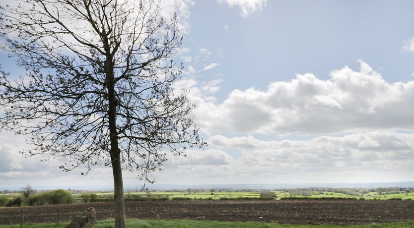 Photo of Stone Cross