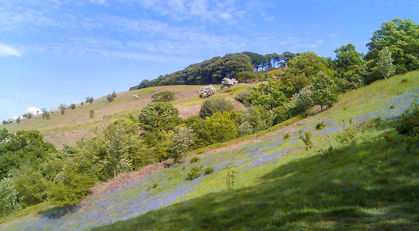 Photo of Woodman Cottage