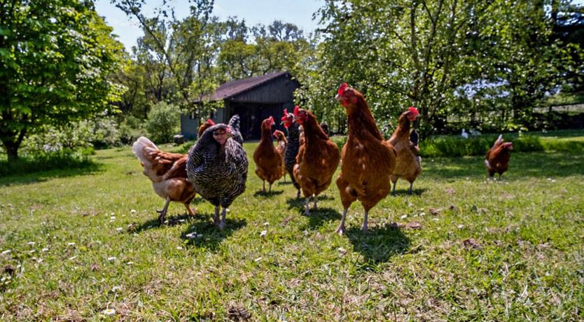 Photo of 1 Bed in Cowes