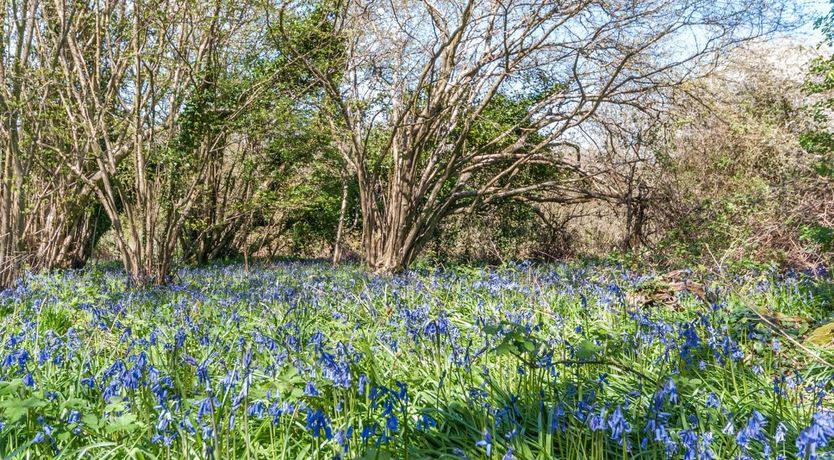 Photo of 3 Bed in Borthwood