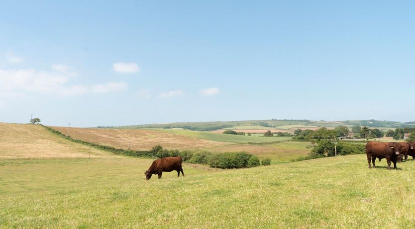 Photo of 2 Bed in Merstone