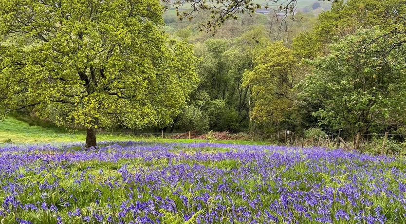 Photo of 2 Bed in Alverstone