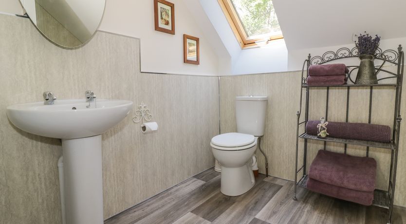 Photo of Squirrels Drey