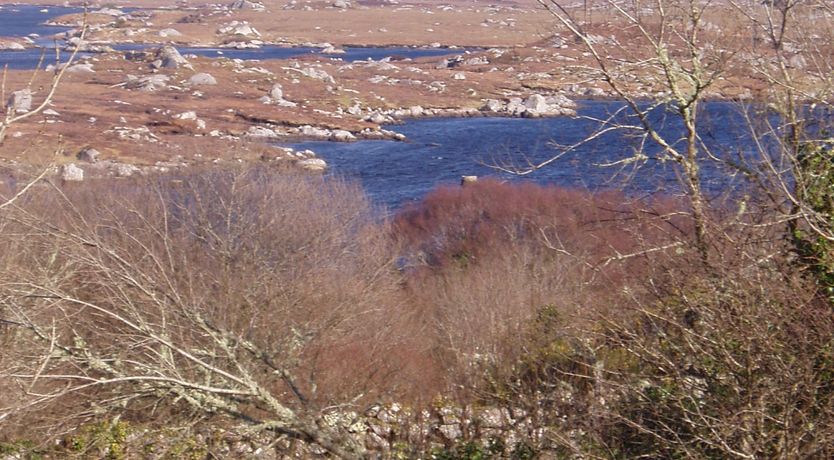 Photo of  Cottage Rosmuc, Rosmuck, Connemara
