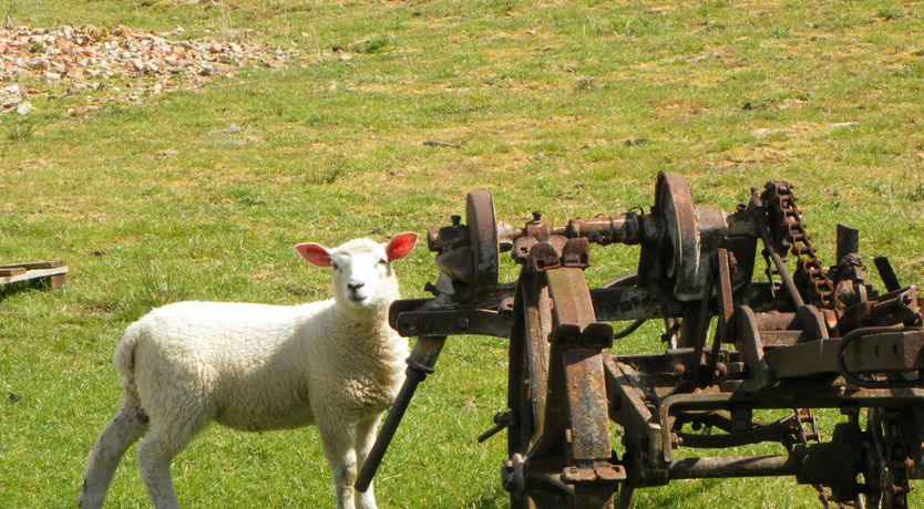 Photo of Little Byre Cottage