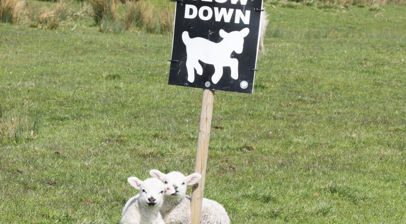 Photo of Kitchen Cottage