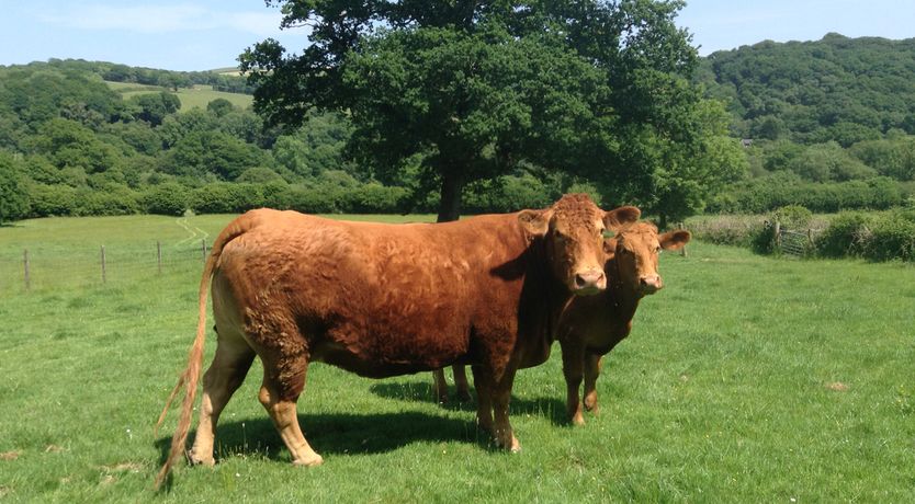 Photo of The Cider Barn