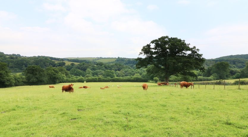 Photo of The Cider Barn