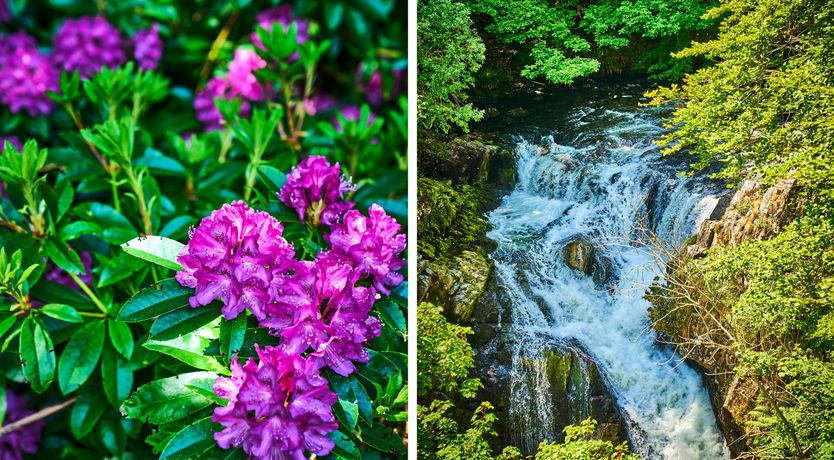 Photo of Hazel Lodge