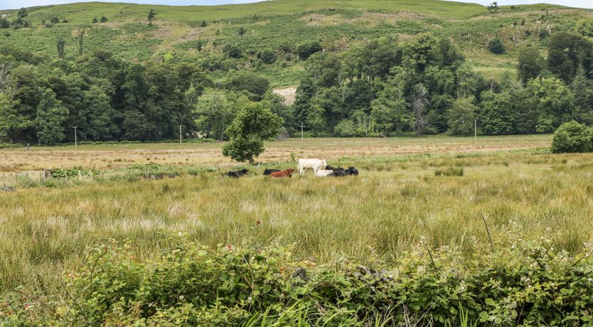 Photo of Seaview-Barsloisnach Cottage