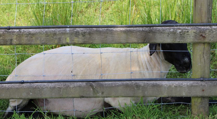 Photo of Brook Lodge