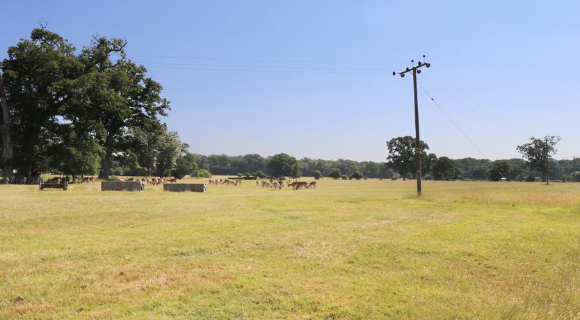 Photo of New Park Farm Cottage