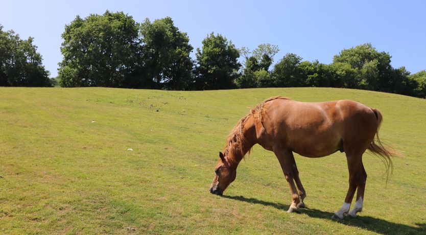 Photo of Railway Carriage