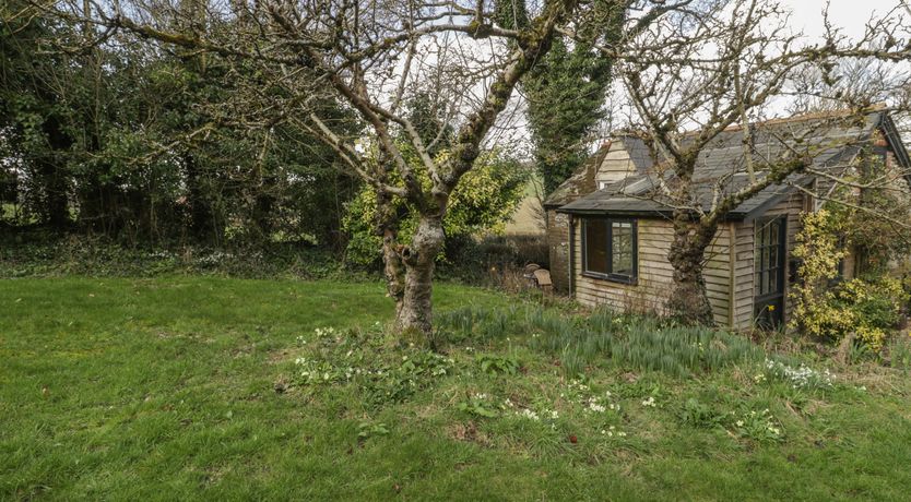 Photo of The Mouse House