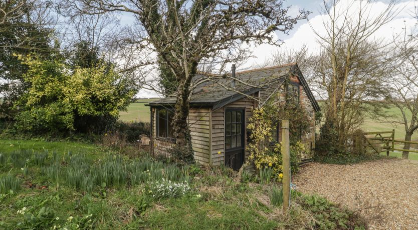 Photo of The Mouse House