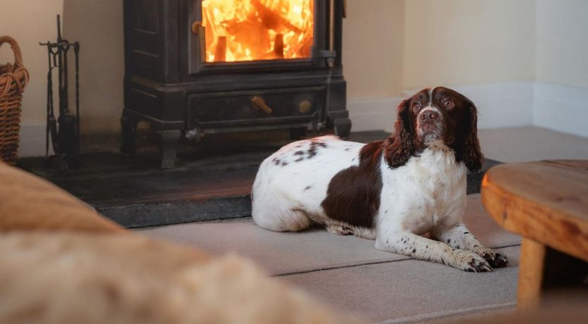 Photo of 5 Bed in Blaenplwyf