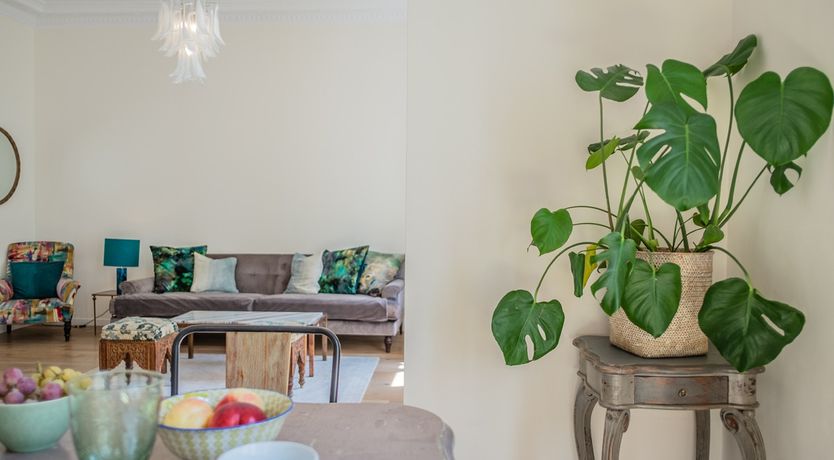 Photo of Boeme -  Exquisitely decorated