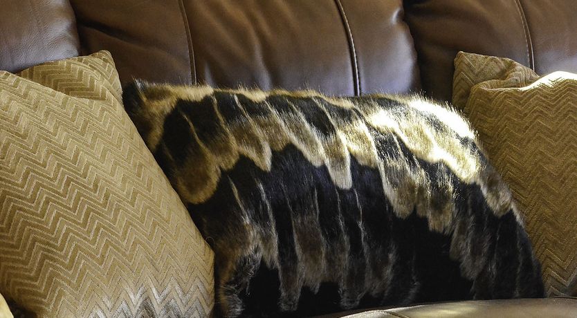 Photo of Dingle Way Lodge - NEW! Tranquil Haven