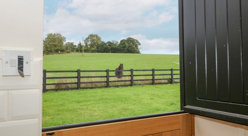 Photo of The Pheasant One